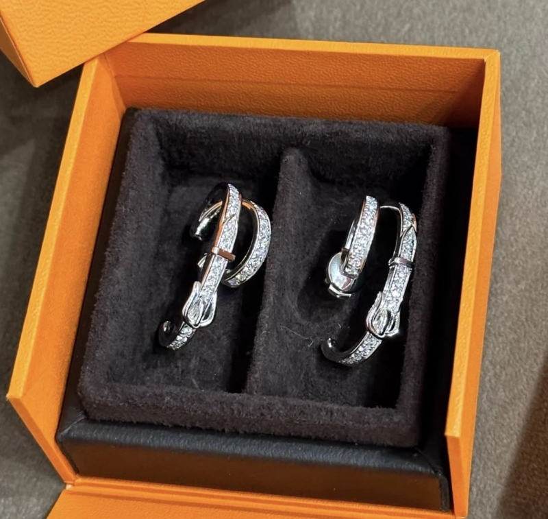 H**me5 earrings